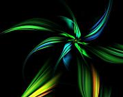 David Lane - Fantasy Flower