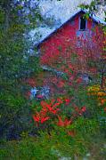 David Lane - The Barn