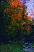 David Lane - A walk in the park