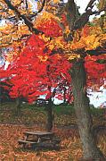 David Lane - Altered State in the park
