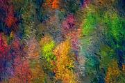 David Lane - Autum Hillside