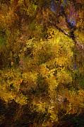 David Lane - Autumn Abstract