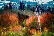 David Lane - Autumn Feel