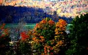 David Lane - Autumn Hedgerow