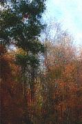 David Lane - Autumn Scene 10-23-09