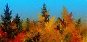 David Lane - Autumnal Forest