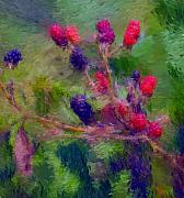 David Lane - Bear Fodder