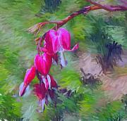 David Lane - Bleeding Heart