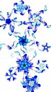 David Lane - Blue Fractal Flowers