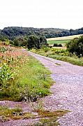 David Lane - Country road