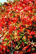 David Lane - Early Color Painting