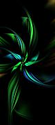 David Lane - Floral Fractal 040710