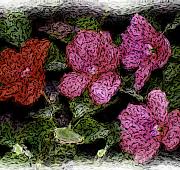 David Lane - Flower sketch