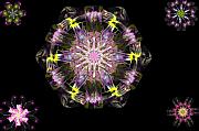 David Lane - Fractal Flowers 10-20-09