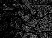 David Lane - Illusion 005