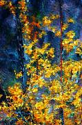 David Lane - In the woods again