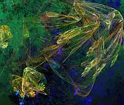 David Lane - Jelly Fish  Diving the Reef Series 1