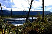 David Lane - Labrador Pond