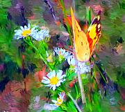 David Lane - Last of the season