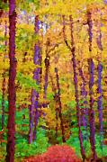 David Lane - Path in the Woods