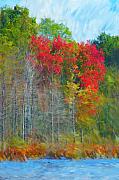 David Lane - Scarlet Autumn Burst