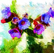 David Lane - Speckled Trout the flower
