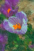 David Lane - Spring has sprung