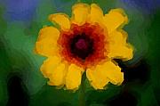 David Lane - Untitled 9-15-09
