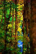 David Lane - Woods Approach To Lake